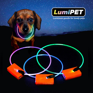 [LumiPET-루미펫] 충전식 애견안전 LED 목걸이!